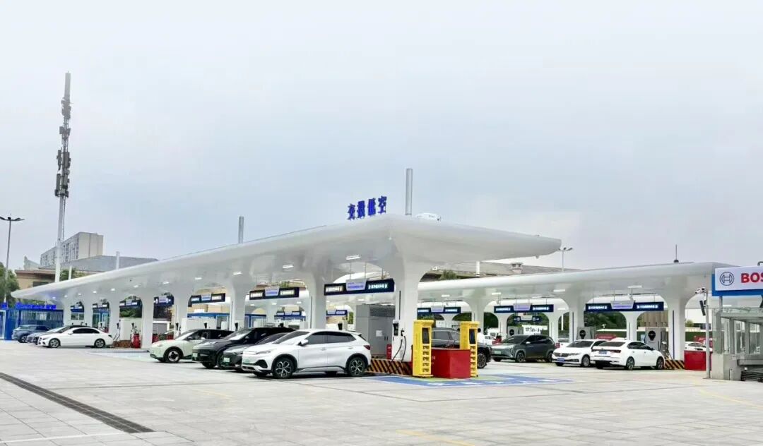 D09.jpg