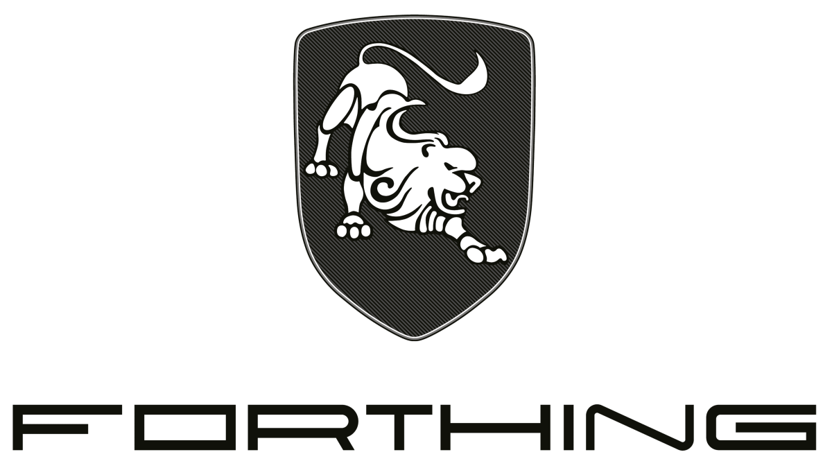 Dongfeng Logo Evolution