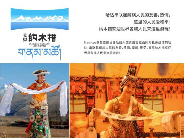 纳木错logo征集结果公布，高水平，没骗子！