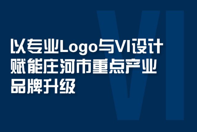 以专业Logo与VI设计赋能庄河市重点产业品牌升级