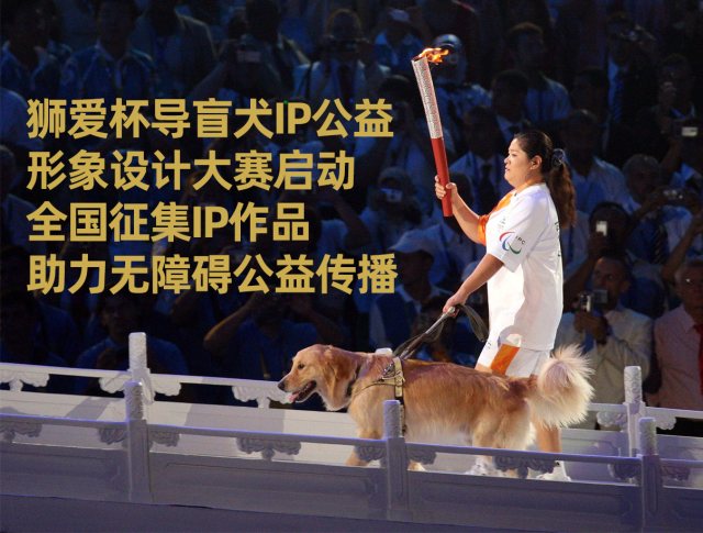 狮爱杯导盲犬IP公益形象设计大赛启动 全国征集作品助力无障碍公益传播