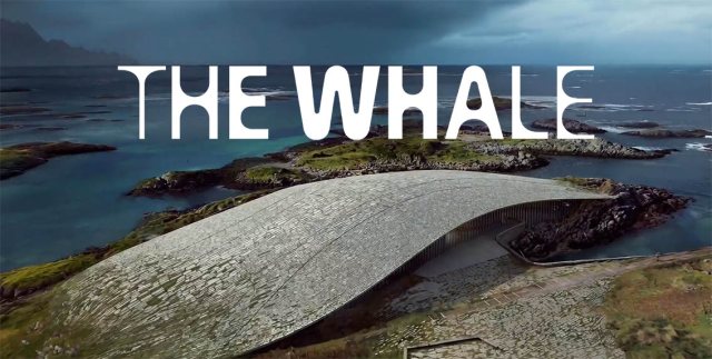 从鲸鱼破水瞬间到字体系统：The Whale视觉识别重塑海洋文化体验中心品牌逻辑