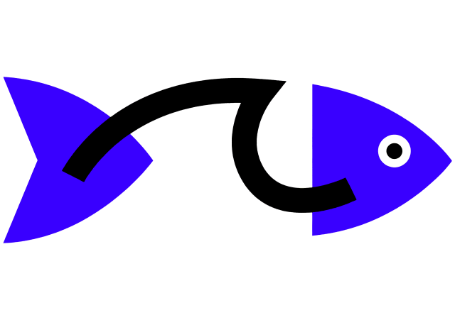 北美海产品供应商Aquamar品牌更换全新LOGO及品牌视觉识别系统